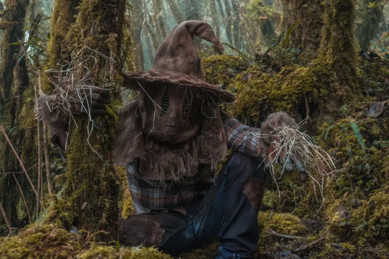 Brains, Heart, and Nerve: Why Dorothy's Companions Are Actually the Soul of Oz